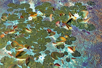 F 025A